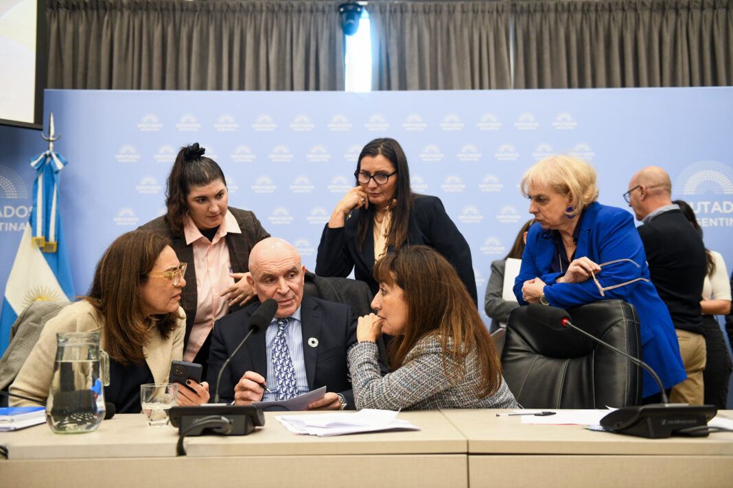 La comisión de Presupuesto y Hacienda de la Cámara de Diputados dio este martes despacho favorable al proyecto que declara la emergencia del Hospital Garrahan.