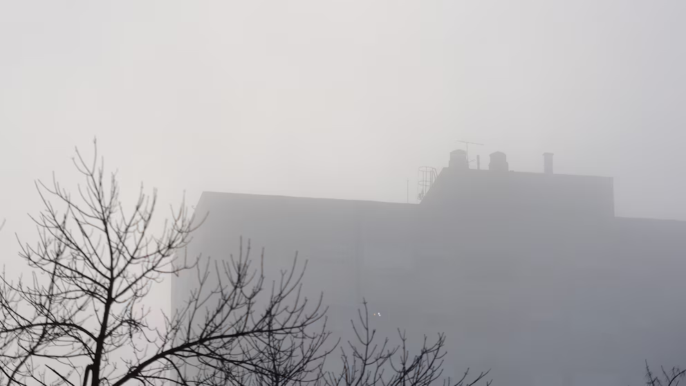 Producto de la niebla se cancelaron varios viajes comerciales.