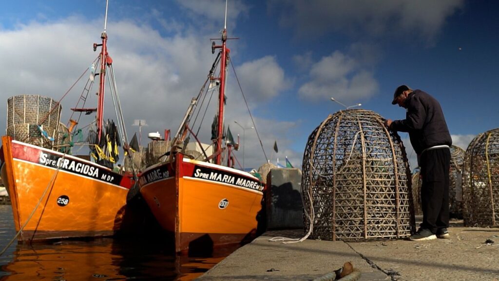 Preocupación por la crisis en el sector de la pesca: 50.000 puestos de trabajo en riesgo - Diputados Bonaerenses