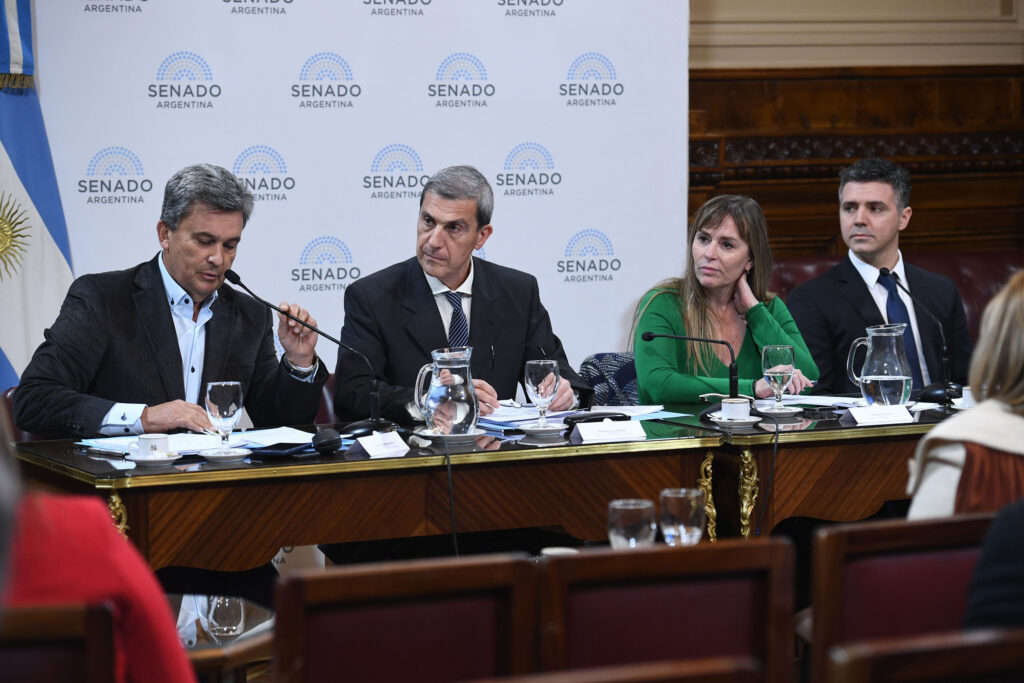 El senador bonaerense, Marcelo “Chuby” Leguizamón, presentó un proyecto de ley para crear el reestructurar los Créditos hipotecarios UVA.