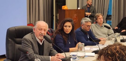 Un total de siete diputados nacionales de UxP presentaron una denuncia penal contra los trolls libertarios que publicaron amenazas contra el Congreso.
