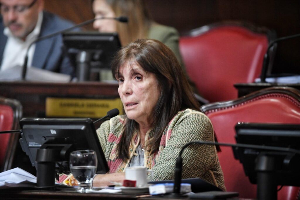 Teresa García es una de las senadoras que no podría reelegir, pero puede utilizar un vacío legal para buscar un nuevo mandato.