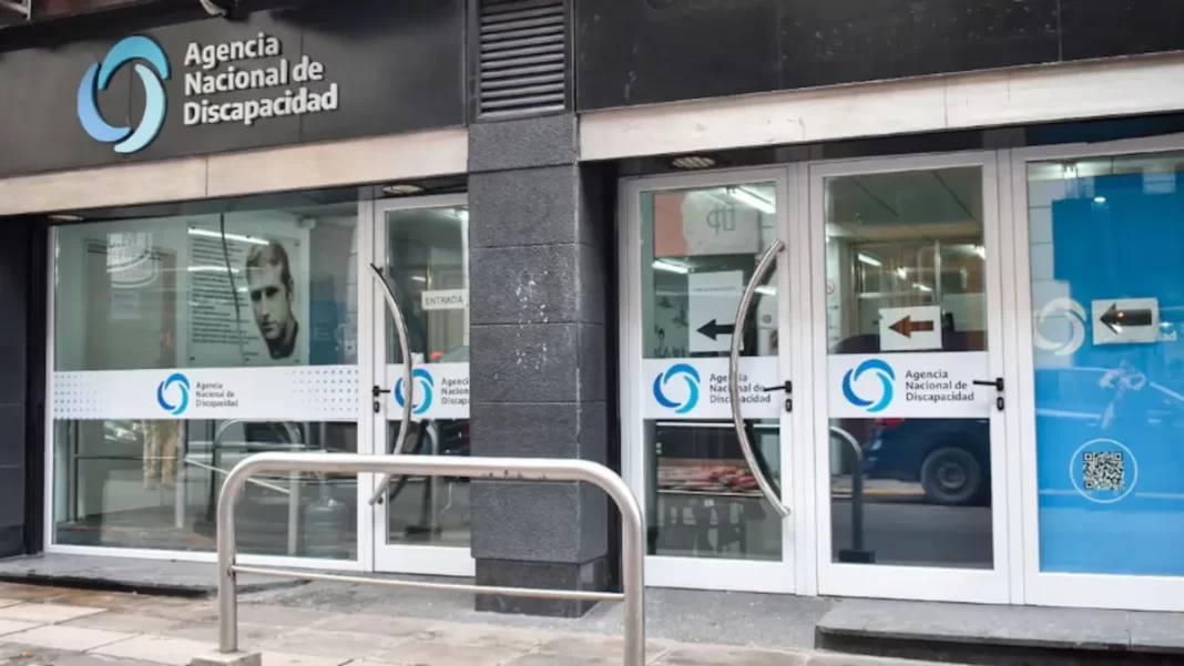 En el marco de las auditorías que comenzaron el febrero de este año, la ANDIS anunció que ya dio de baja más de 80.000 pensiones por discapacidad laboral.