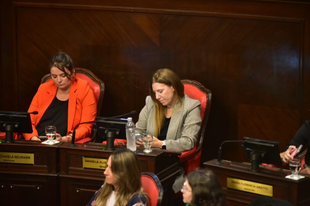 El cierre de listas para las elecciones legislativas dejó afuera a varios legisladores y anticipa una fuerte renovación en la Legislatura bonaerense.