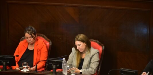 El cierre de listas para las elecciones legislativas dejó afuera a varios legisladores y anticipa una fuerte renovación en la Legislatura bonaerense.