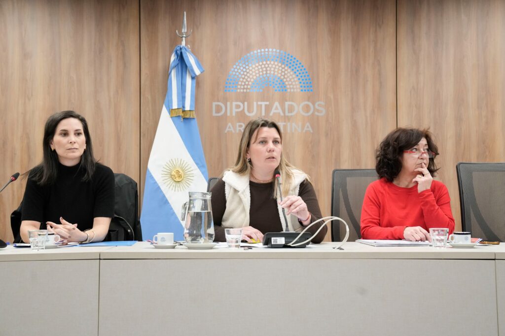 La convocatoria para debatir sobre el ajuste al deporte argentino, fue impulsada por la diputada de UxP, Magalí Mastaler.