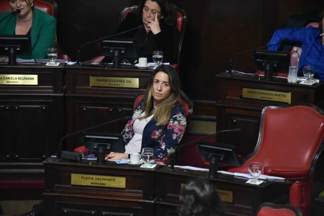 Un fiscal requirió enviar a juicio oral a uno de los asesores de la senadora Flavia Delmonte, en la causa que investiga supuestos contratos 