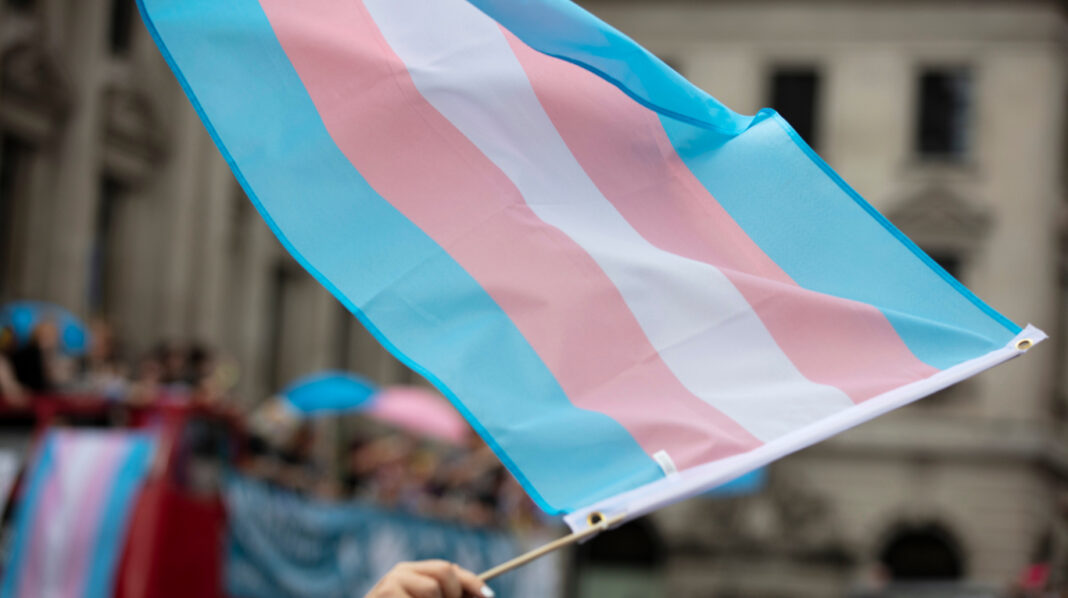 Un proyecto libertario para eliminar el cupo laboral trans en la provincia despertó el rechazo inmediato en las organizaciones del colectivo LGBTIQ+.