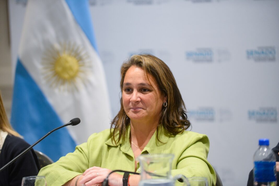 La senadora de la UCR + Cambio Federal, Lorena Mandagarán, presentó una ley para capacitar a docentes y estudiantes en clave de salud mental. “Falta una mirada de alerta”, alegó.