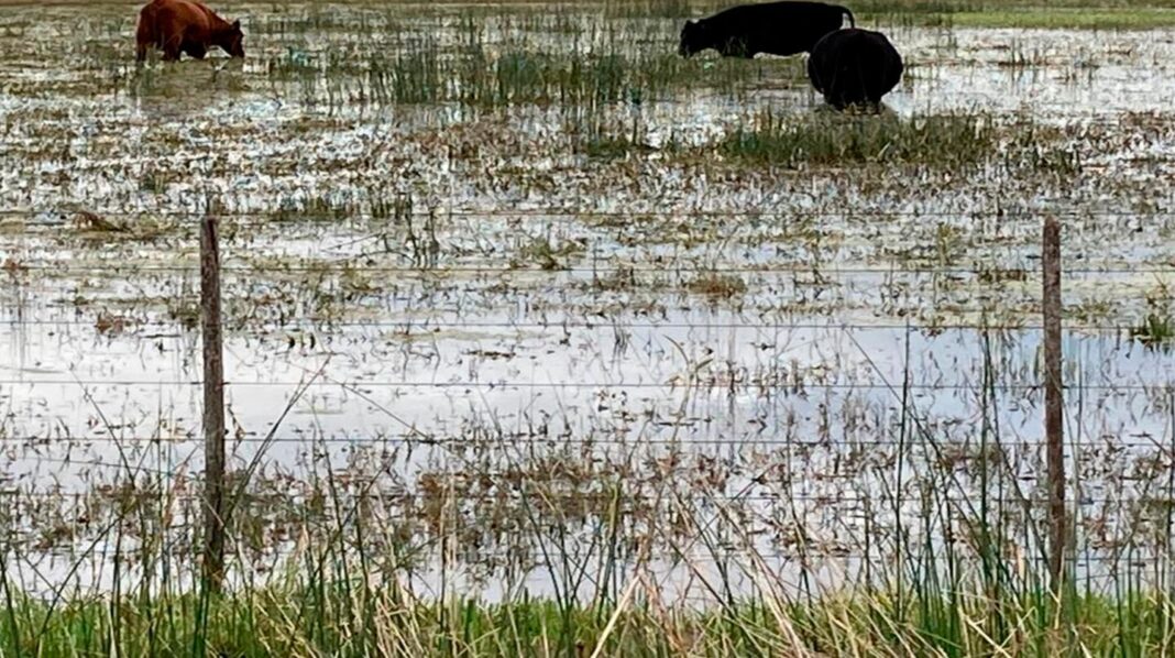 Productores rurales del centro oeste bonaerense cruzaron a los municipios y la provincia por la falta de respuestas frente a la emergencia hídrica.