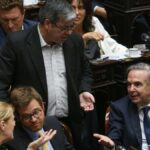 Congreso: la oposición convocó otra sesión en defensa del Garrahan y las universidades Diputados de la oposición convocaron para el próximo miércoles para insistir con la emergencia en el Hospital Garrahan y la ley de financiamiento universitario.