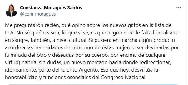 Constanza Moragues Santos disparó contra "los gatos" que conforman las listas de La Libertad Avanza.