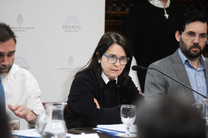 El proyecto de Malaisi fue para repudiar los dichos de la senadora Álvarez Rivero sobre la atención en el Hospital Garrahan.