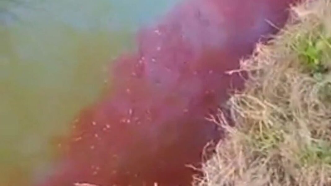 La diputada de Acuerdo Cívico, Viviana Dirolli, presentó un pedido de informes por el agua roja en el balneario de Carmen de Areco.