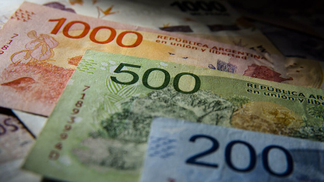 La senadora bonaerense, Lorena Mandagarán, presentó un proyecto para que los billetes cuenten con diseños de efectiva identificación para las personas con discapacidad visual.