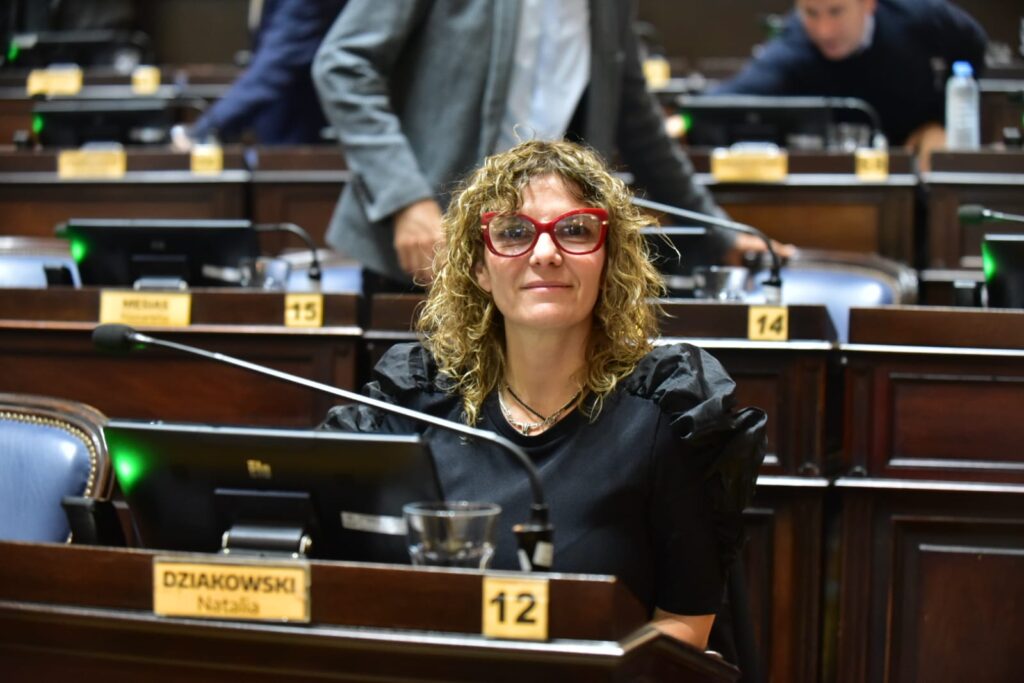 La diputada Natalia Dziakowski pidió que el pago de la VTV pueda realizarse a través de Cuenta DNI o por el QR de Banco Provincia.