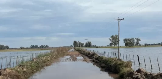 El campo bonaerense denunció un millón de hectáreas bajo agua y exigió al Estado un plan de emergencia ante el deterioro de los caminos rurales.