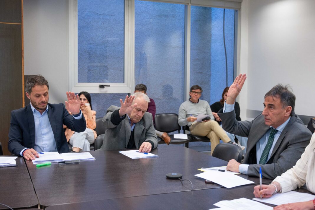 La Cámara de Diputados bonaerense avanzó en comisiones varios proyectos de ley, entre los que se encuentra la jerarquización del acompañante terapéutico.
