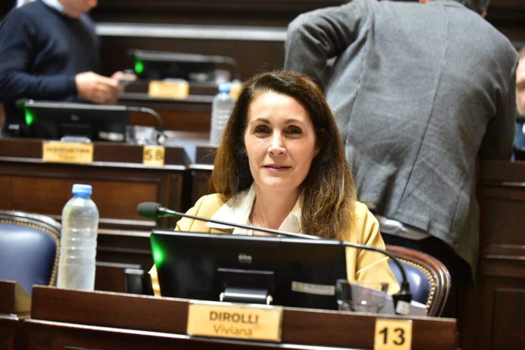 Diputados: Viviana Dirolli impulsó el proyecto que recusa a jueces que emitan opiniones “contrarias a la perspectiva de género".