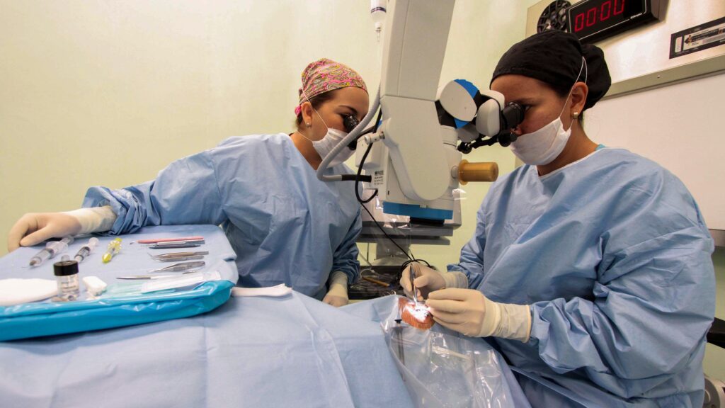 ATE denunció al PAMI por sobreprecios en la compra de lentes intraoculares y lo vinculó a las coimas en discapacidad: "Acá hay mucho más que un 3% en vueltos".