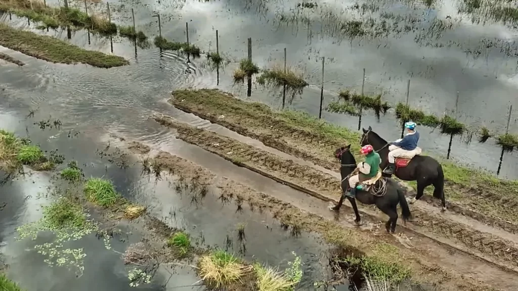 Las intensas lluvias que azotaron la región centro-oeste de la provincia de Buenos Aires provocaron graves inundaciones en el campo bonaerense.