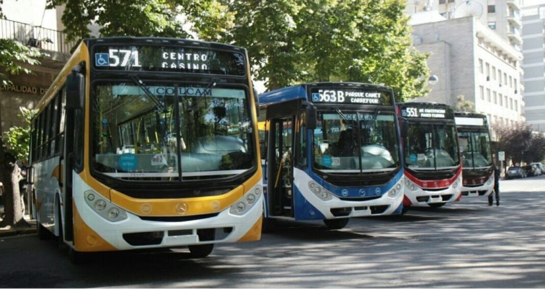 La Justicia dio lugar a un recurso de amparo e instó a las autoridades de Mar del Plata a que garanticen el transporte público gratuito durante la fecha de elecciones 2025.