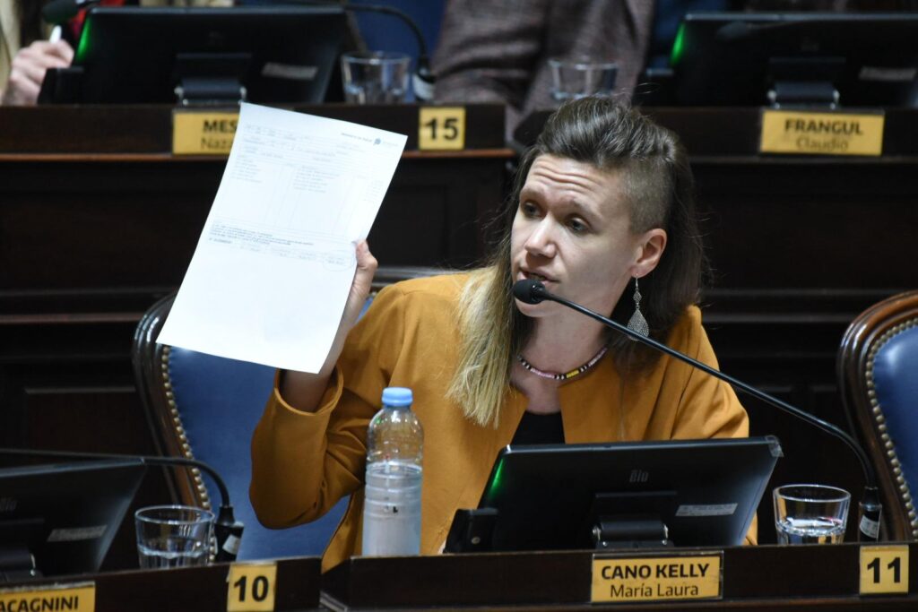 La diputada bonaerense Laura Cano celebró el despacho de un proyecto que busca reglamentar la profesión de los acompañantes terapéuticos.