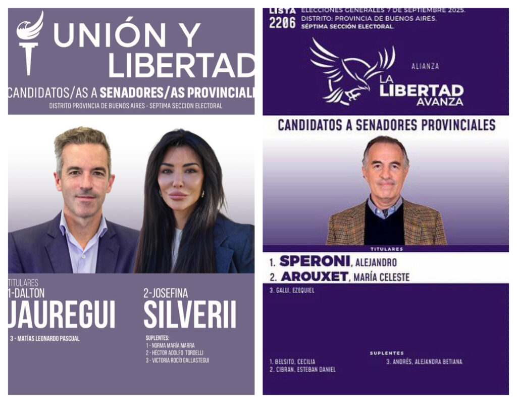 Así eran las boletas de Unión y Libertad y La Libertad Avanza en la Séptima sección electoral.