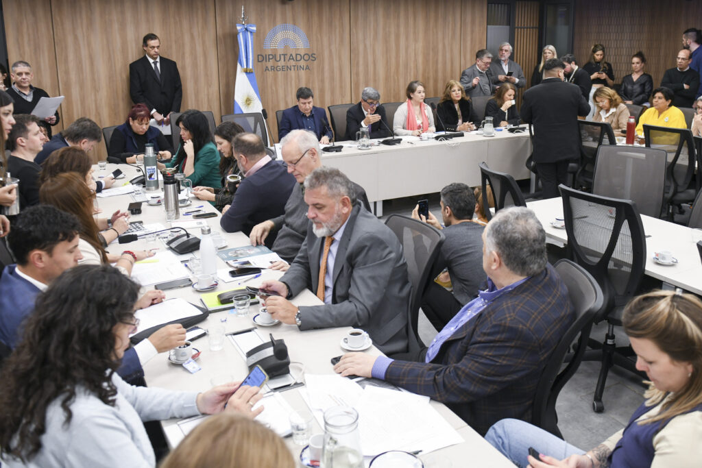 Presupuesto, $Libra y Discapacidad: el Congreso encara una agenda de comisiones incómoda para Milei.