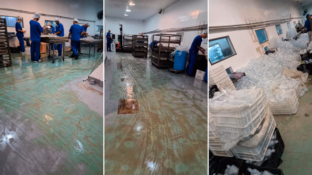 
Así encontró la Justicia los laboratorios de HLB Pharma y Ramallo, donde se produjo el fentanilo contaminado.