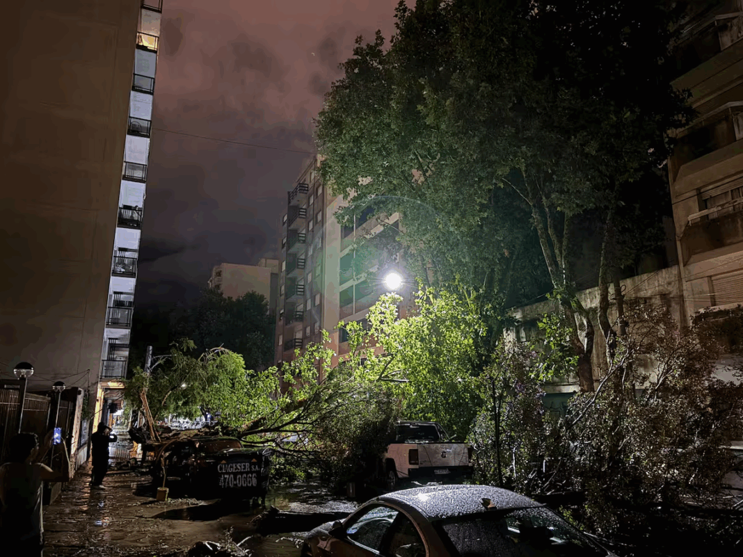 El temporal dejó 