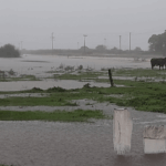 El Gobierno bonaerense prorrogó la emergencia agropecuaria, tras las grandes pérdidas El Gobierno bonaerense prorrogó la emergencia agropecuaria en cuatro nuevos municipios tras las grandes pérdidas de los productores.