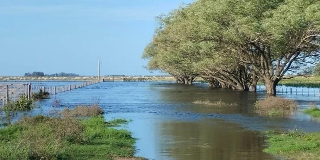 La abogada de los pequeños y medianos productores del interior bonaerense cuestionó los beneficios de la emergencia agropecuaria en la provincia.