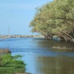 Productores bonaerenses pusieron en duda los beneficios de la emergencia agropecuaria La abogada de los pequeños y medianos productores del interior bonaerense cuestionó los beneficios de la emergencia agropecuaria en la provincia.