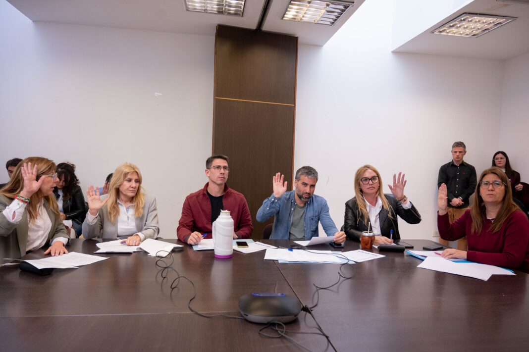 La comisión de Salud Pública de la Cámara de Diputados bonaerense despachó el proyecto de ley de educación emocional, perteneciente a la massista Luciana Padulo.