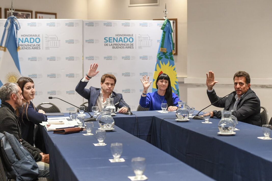 La comisión de Deportes del Senado dio luz verde a 13 proyectos que incluyen distinciones a deportistas bonaerenses y el reconocimiento a clubes.