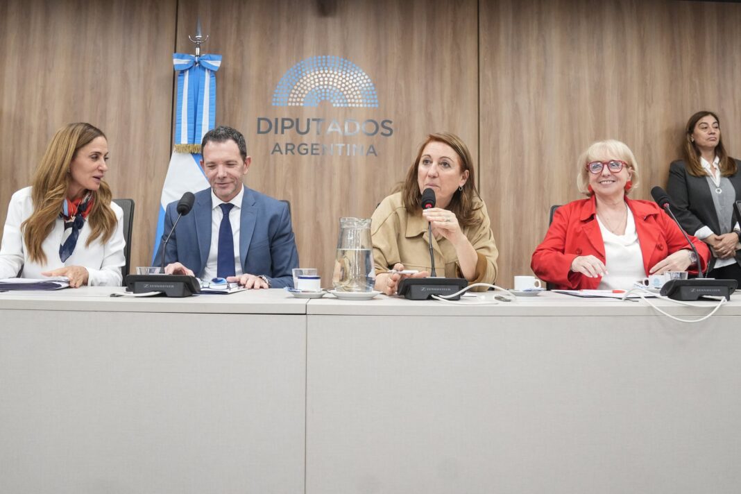 En un nuevo revés para el oficialismo, diputados de la oposición pusieron en marcha la comisión investigadora por el fentanilo contaminado y Mónica Fein será su presidenta.