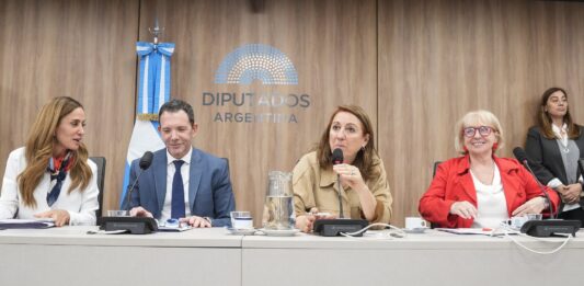 En un nuevo revés para el oficialismo, diputados de la oposición pusieron en marcha la comisión investigadora por el fentanilo contaminado y Mónica Fein será su presidenta.