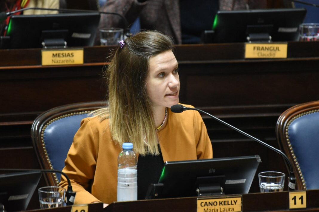 En el marco de la conmoción por el triple femicidio, la diputada Laura Cano reclamó el tratamiento de la ley de emergencia en violencia de género.