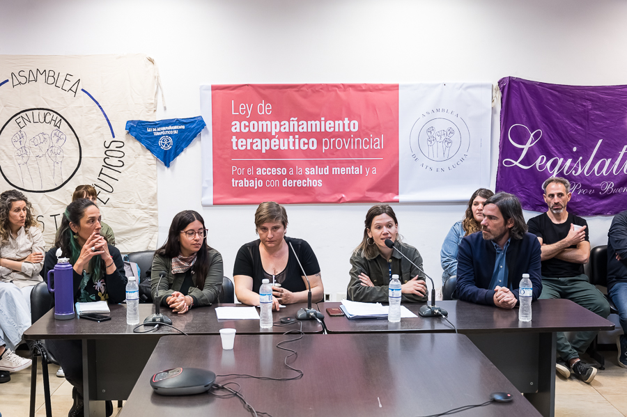 Acompañantes terapéuticos estuvieron presentes durante el tratamiento en comisiones de su ley.