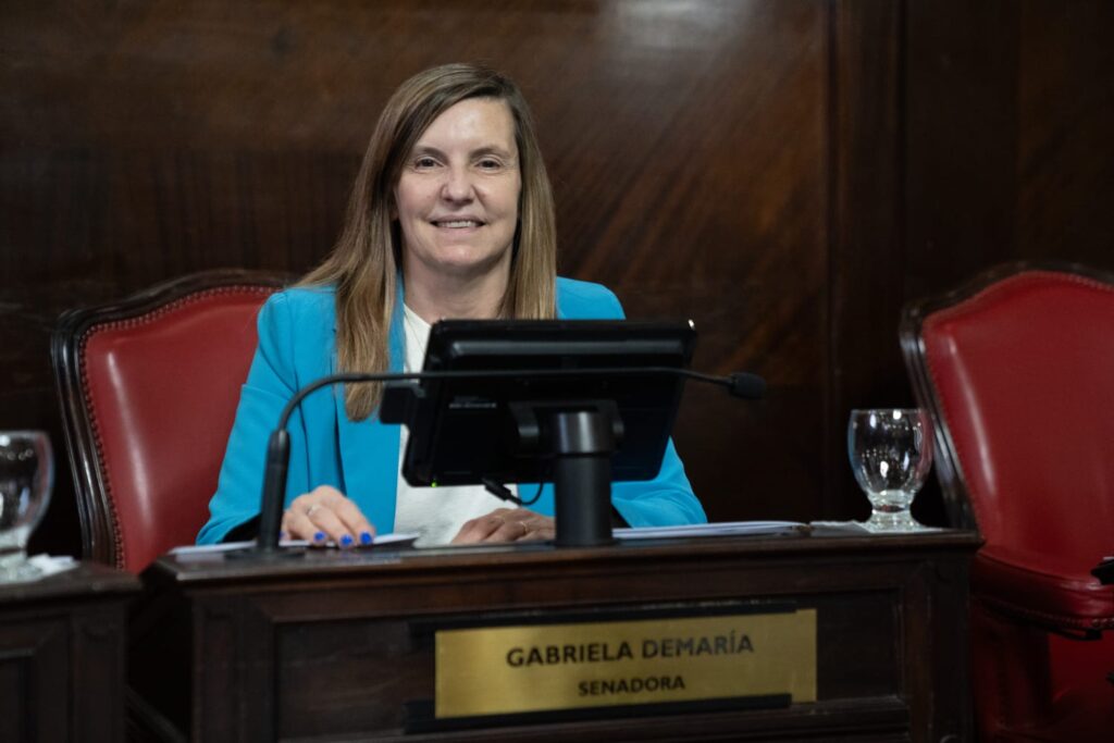 La senadora bonaerense, Gabriela Demaría, manifestó su “preocupación” ante la posible eliminación del régimen de Zona Fría para la provincia de Buenos Aires.