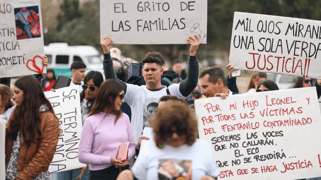 El presidente del Consejo de Química bonaerense, Carlos Colangelo, advirtió sobre la falta de control en la matriculación y el aumento de accidentes.