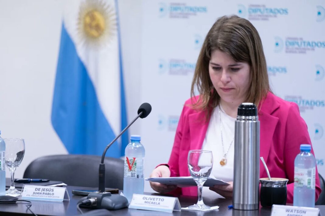 La diputada Micaela Olivetto apuntó contra el presidente Javier Milei por pretender derogar la Ley de Zona Fría, en el Presupuesto 2026.