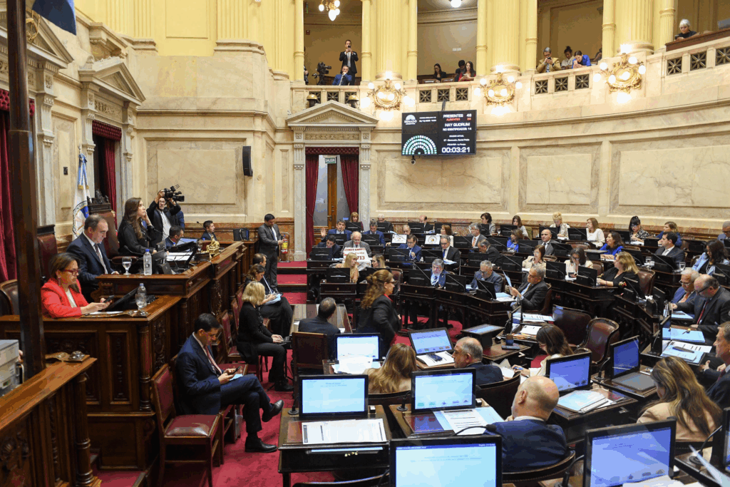 El Senado volteó los vetos de Javier Milei y dejo firme la ley de financiamiento universitario y la emergencia pediátrica. 