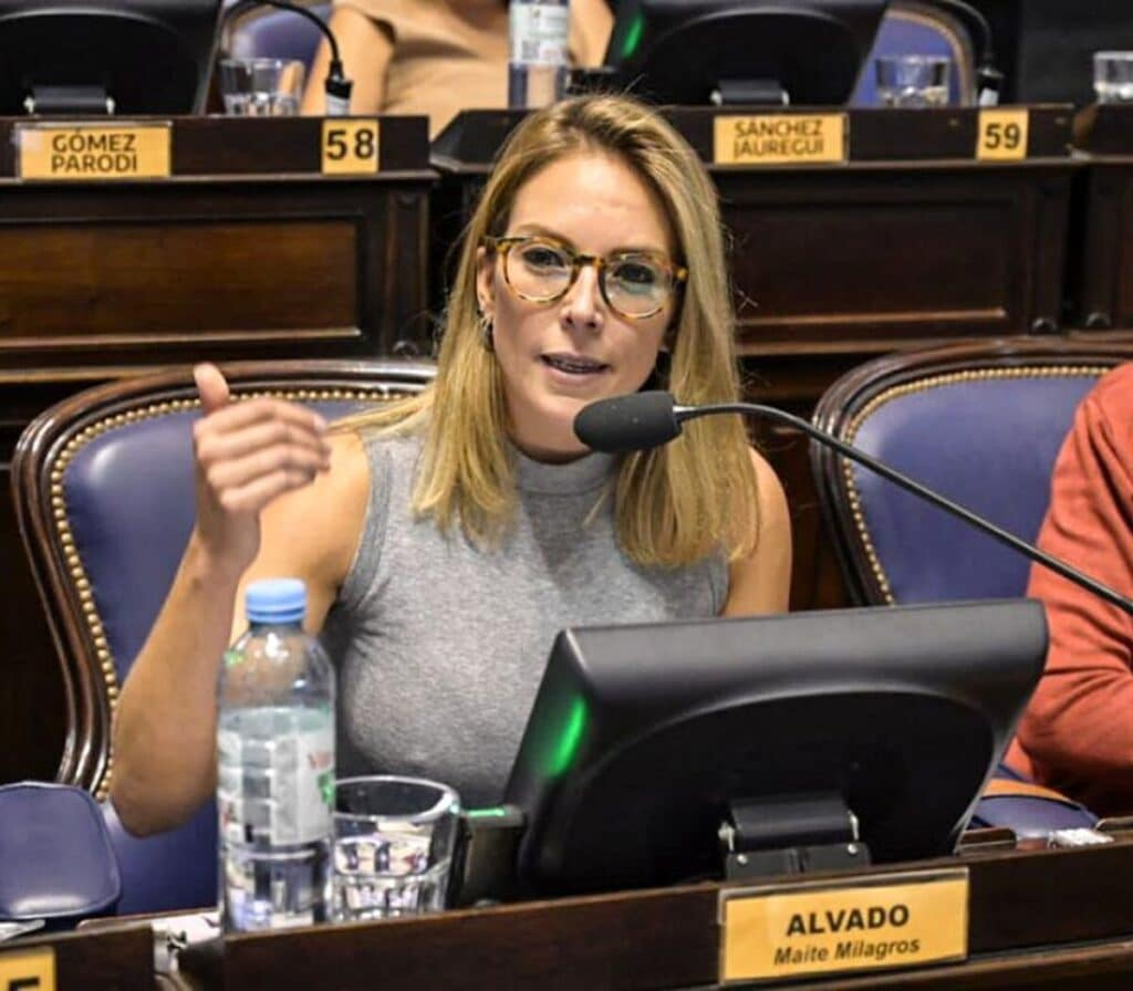 La diputada Maite Alvado autora del proyecto que declara la emergencia económica, sanitaria y ambiental para Bahía Blanca. 