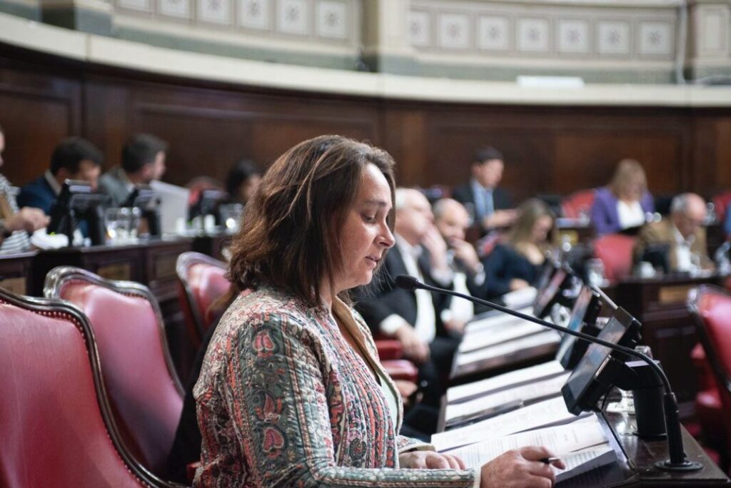 El proyecto para crear el observatorio provincial de personas en situación de calle fue presentad por la senadora Lorena Mandagarán.