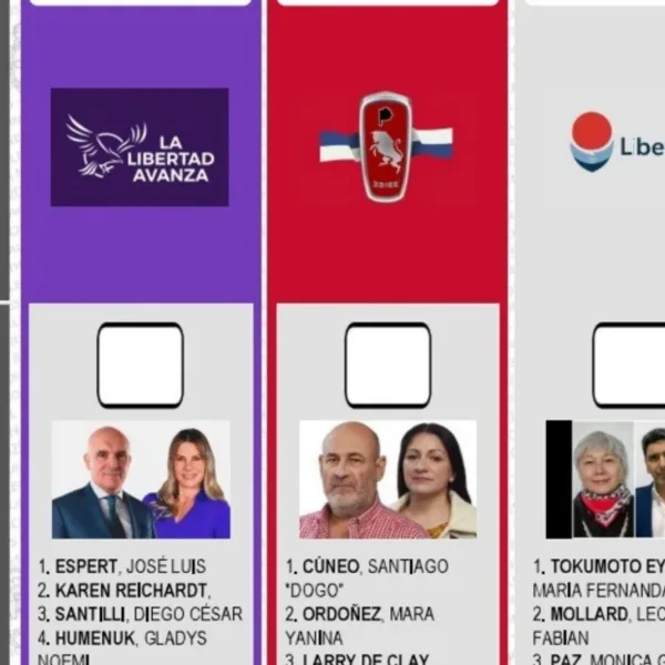 La fiscal electoral de La Plata afirmó que Diego Santilli no puede encabezar la lista de La Libertad Avanza.