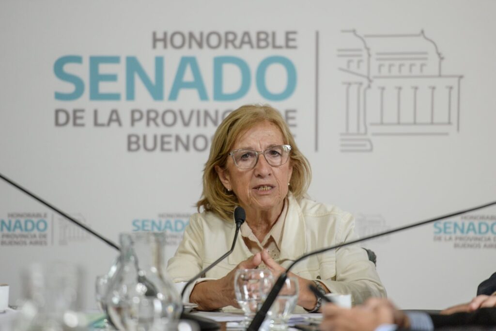 La titular de la comisión de Trabajo y Legislación del Senado bonaerense, María Rosa Martínez.