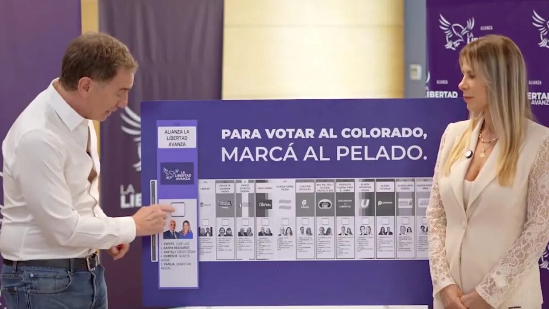 La Libertad Avanza perdió la batalla por la reimpresión de los afiches y José Luis Espert figurará como el primer candidato en todos los materiales oficiales.