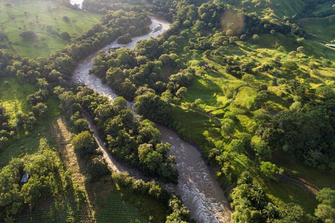 La comisión de Ambiente y Desarrollo Sostenible de la Cámara de Diputados bonaerense despachó una ley para proteger a los ecosistemas.